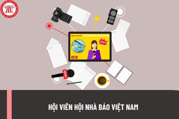 Hội viên Hội Nhà báo Việt Nam gồm những thành viên nào? Điều kiện, tiêu chuẩn trở thành thành viên Hội Nhà báo Việt Nam ra sao? 