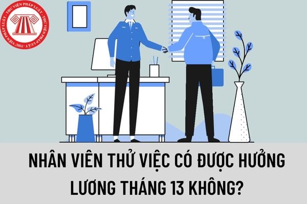 Nhân viên thử việc có được hưởng lương tháng 13 không? Nhân viên thử việc có được trả lương làm thêm giờ vào ngày Tết Âm lịch không?