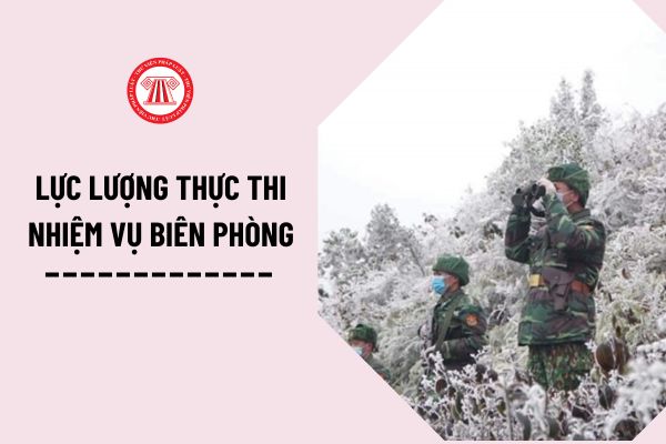 Lực lượng thực thi nhiệm vụ biên phòng được hiểu là như thế nào theo Luật Biên phòng Việt Nam 2020?