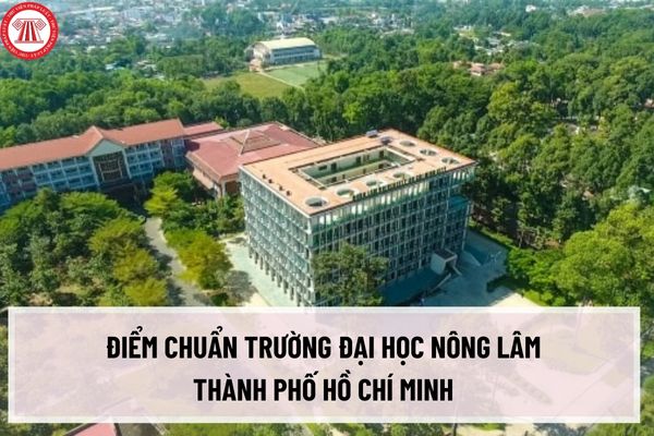 Điểm chuẩn trường Đại học Nông Lâm TP. Hồ Chí Minh năm 2023 theo phương thức xét tuyển kết quả thi tốt nghiệp?