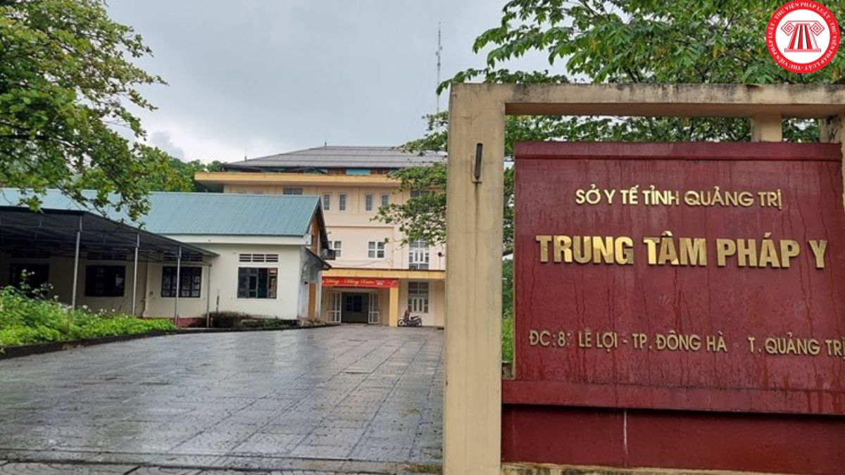 Pháp luật