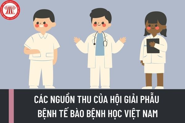 Các nguồn thu của Hội Giải phẫu bệnh Tế bào bệnh học Việt Nam được quy định như thế nào?