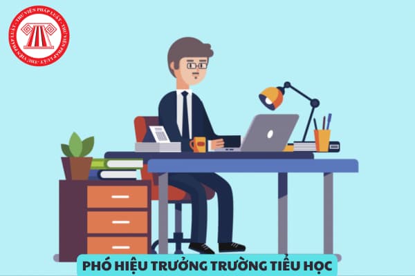 Điều kiện để trở thành phó hiệu trưởng trường tiểu học là gì? Nhiệm vụ và quyền hạn của phó hiệu trưởng là gì?