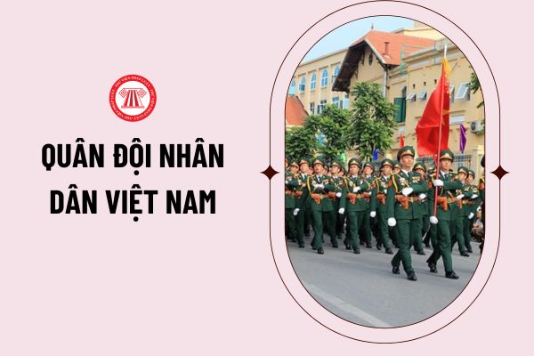 Quân đội nhân dân Việt Nam do ai đặt tên? Ý nghĩa tên gọi Quân đội nhân dân Việt Nam như thế nào?