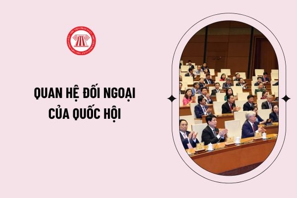 Pháp luật