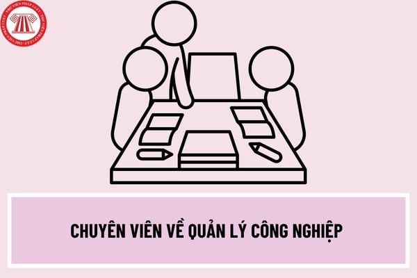 Chuyên viên về quản lý công nghiệp phải có yêu cầu về trình độ và năng lực như thế nào? Chuyên viên về quản lý công nghiệp phải làm những công việc nào? 