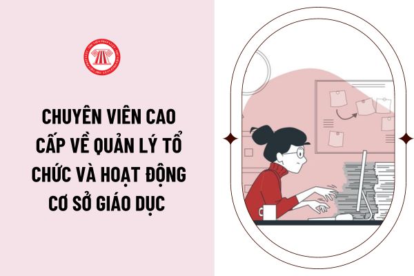 Chuyên viên cao cấp về quản lý tổ chức và hoạt động cơ sở giáo dục có yêu cầu về trình độ, kinh nghiệm, phẩm chất cá nhân ra sao?