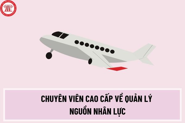 Chuyên viên cao cấp về quản lý nguồn nhân lực của Cục hàng không Việt Nam phải có điều kiện như thế nào?