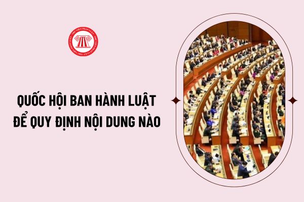 Pháp luật
