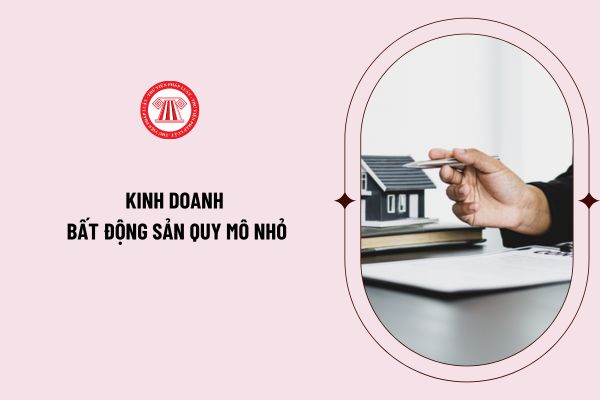 Thế nào là kinh doanh bất động sản quy mô nhỏ? Kinh doanh bất động sản quy mô nhỏ không phải thành lập doanh nghiệp từ ngày 1/8/2024?