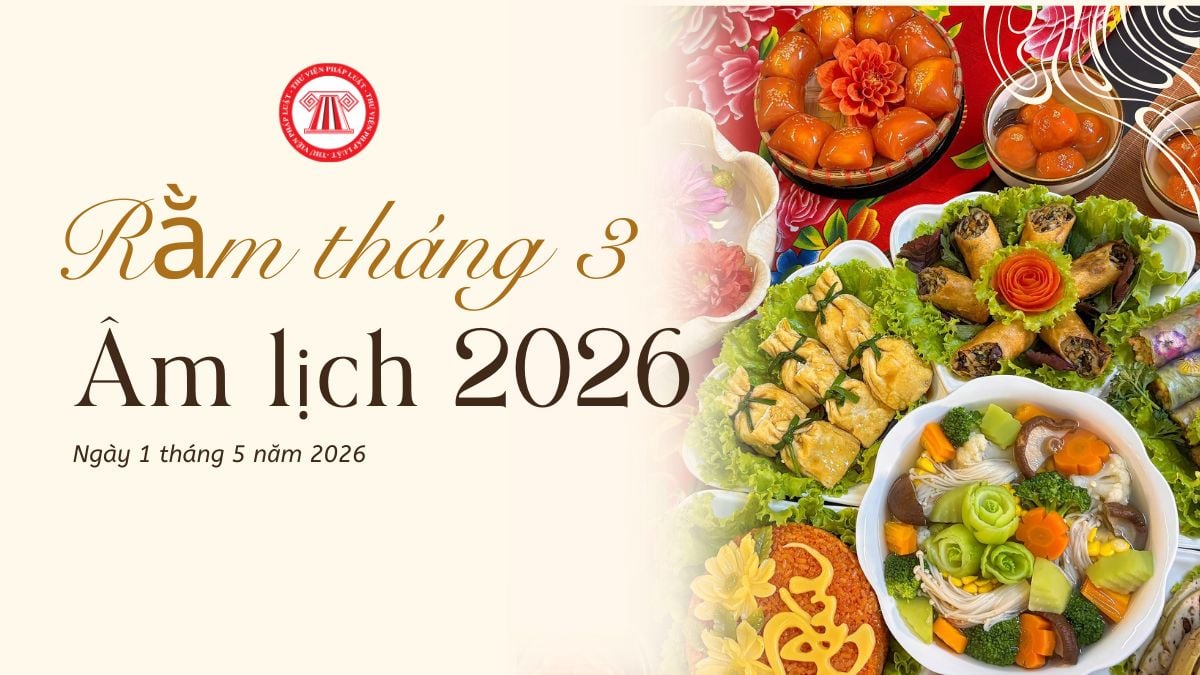 Pháp luật