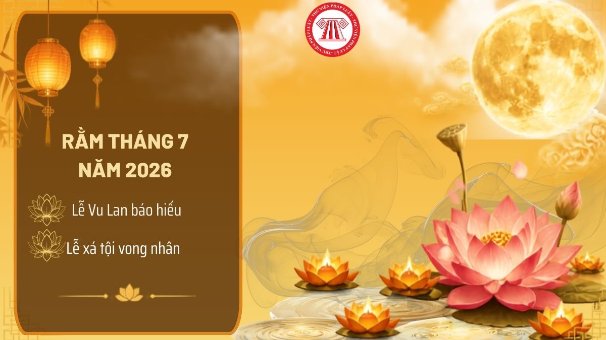 Pháp luật