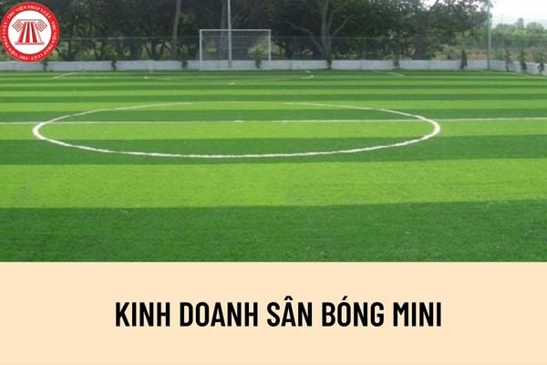 Có những cách nào để cá nhân kinh doanh sân bóng đá mini? Hồ sơ đề nghị cấp Giấy chứng nhận đủ điều kiện kinh doanh sân bóng đá được quy định như thế nào?