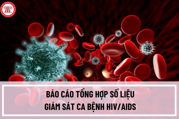 Mẫu báo cáo tổng hợp số liệu giám sát ca bệnh HIV/AIDS có dạng như thế nào? Đối tượng, quy trình báo cáo giám sát ca bệnh HIV/AIDS ra sao?