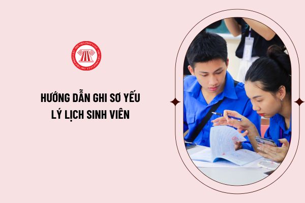 Hướng dẫn ghi sơ yếu lý lịch sinh viên mới nhất năm 2024 chi tiết bìa 1, bìa 2 như thế nào? 