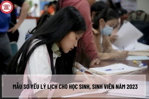 Mẫu sơ yếu lý lịch cho học sinh, sinh viên năm 2023 chuẩn Bộ giáo dục? Hướng dẫn khai lý lịch học sinh, sinh viên dành cho tân sinh viên?