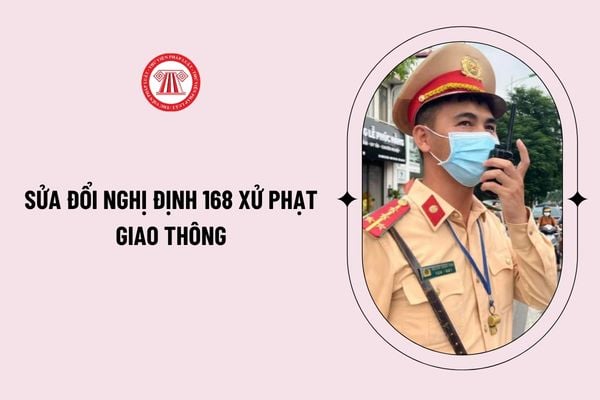 Pháp luật