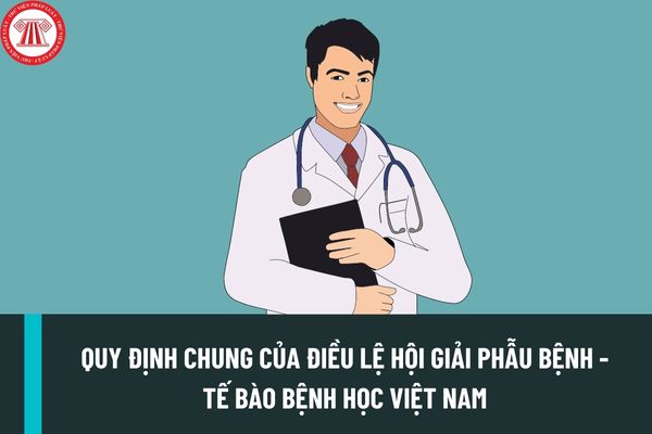 Quy định chung của Điều lệ Hội Giải phẫu bệnh - Tế bào bệnh học Việt Nam được sửa đổi bổ sung như thế nào?