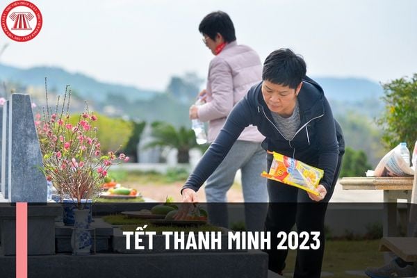 Tết Thanh minh 2023 vào ngày nào? Tết Thanh minh chiếm đoạt những đồ vật để ở trên mộ có bị truy cứu trách nhiệm hình sự không?