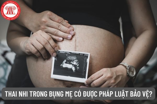 Thai nhi trong bụng mẹ có được coi là người có năng lực pháp luật dân sự không? Những quy định về bảo vệ thai nhi?