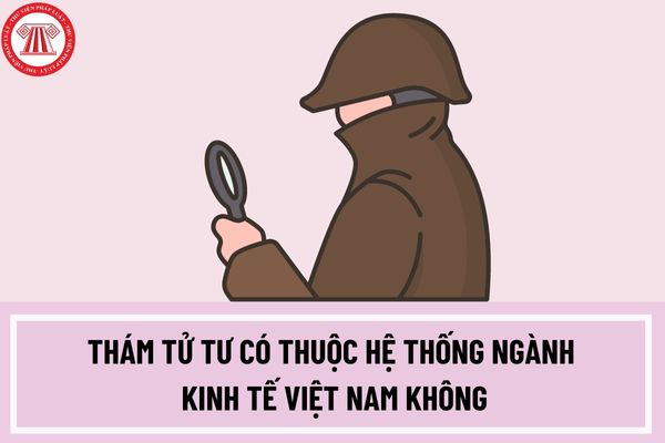 Thám tử tư có thuộc hệ thống ngành kinh tế Việt Nam không? Thám tử tư theo dõi người khác có vi phạm pháp luật không?