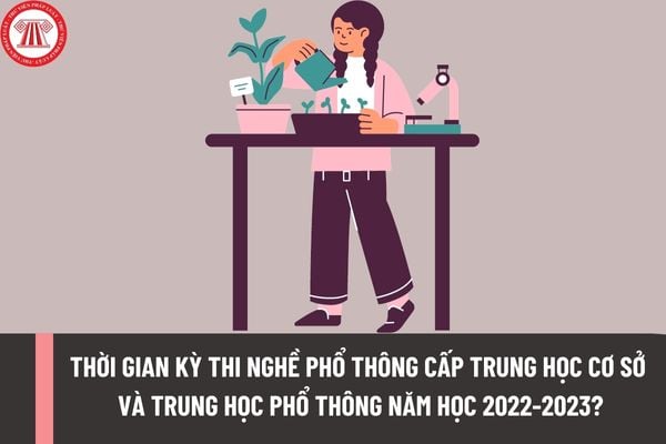 Thời gian kỳ thi nghề phổ thông cấp Trung học cơ sở và Trung học phổ thông năm học 2022-2023?