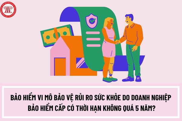 Bảo hiểm vi mô bảo vệ rủi ro sức khỏe do doanh nghiệp bảo hiểm cấp có thời hạn không quá 5 năm?