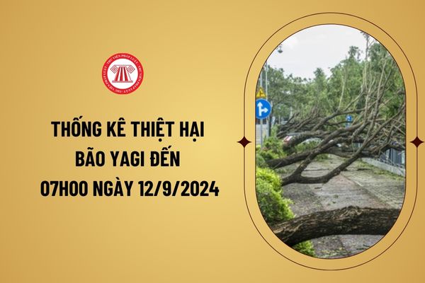 Thống kê thiệt hại bão Yagi đến 07h00 ngày 12/9/2024: Số người chết, mất tích, số người bị thương?