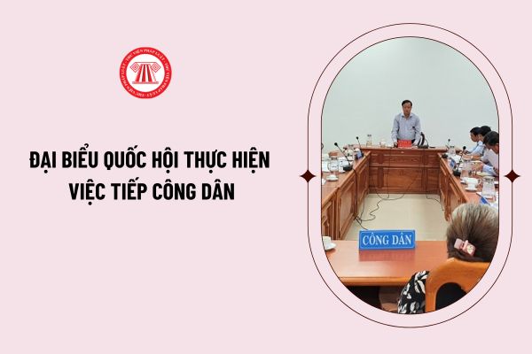 Pháp luật