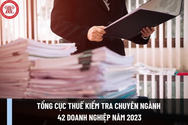 Tổng cục Thuế kiểm tra chuyên ngành 42 doanh nghiệp năm 2023? Quy trình kiểm tra thuế gồm các bước nào?