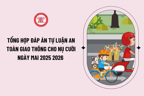Pháp luật
