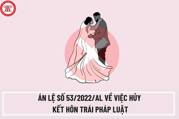 Án lệ số 53/2022/AL về việc hủy kết hôn trái pháp luật có nội dung như thế nào? Tòa án nhận định Án lệ số 53 ra sao?