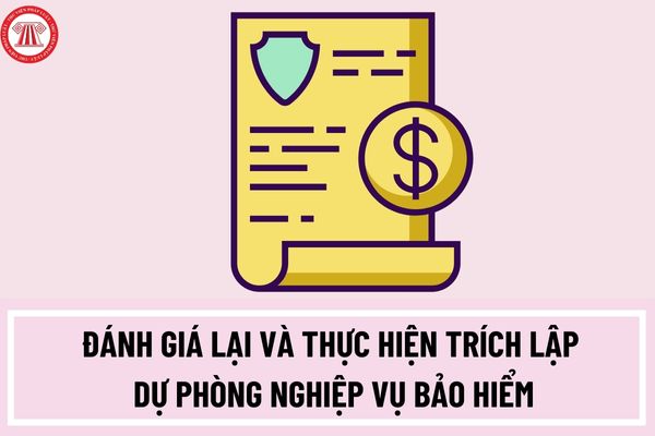 Hướng dẫn tổ chức tương hỗ cung cấp bảo hiểm vi mô đánh giá lại và thực hiện trích lập dự phòng nghiệp vụ bảo hiểm?