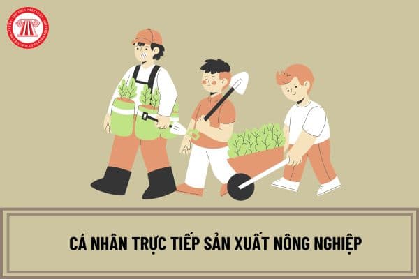 Người lao động có hợp đồng lao động không xác định thời hạn thì có thể được xem là cá nhân trực tiếp sản xuất nông nghiệp?