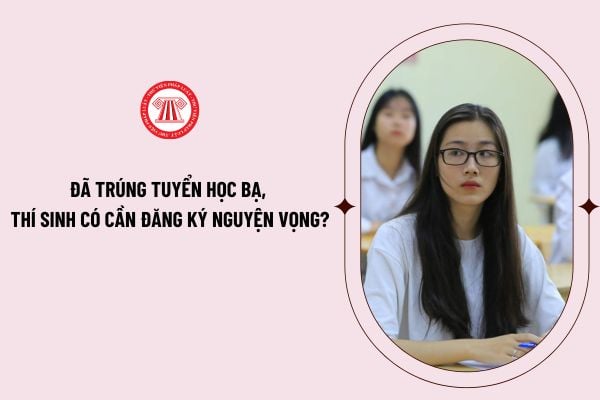 Đã trúng tuyển học bạ, thí sinh có cần đăng ký nguyện vọng trên web Thisinh.thithptquocgia.edu.vn 2024 của Bộ giáo dục không?