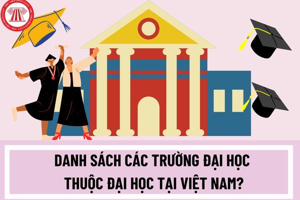 Danh sách các trường đại học thuộc đại học tại Việt Nam? Trường đại học thành đại học thì hiệu trưởng được gọi là gì?