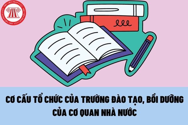 Cơ cấu tổ chức của trường đào tạo, bồi dưỡng của cơ quan nhà nước, tổ chức chính trị lực lượng vũ trang nhân dân được quy định thế nào?