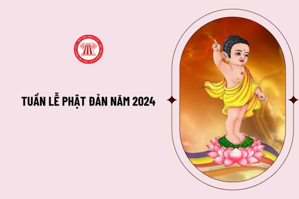 Tuần lễ Phật Đản năm 2024 diễn ra vào thời gian nào? Chương trình đại lễ Phật đản năm 2024 như thế nào?