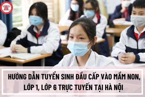 Hướng dẫn tuyển sinh đầu cấp vào mầm non, lớp 1, lớp 6 trực tuyến tại Hà Nội như thế nào?