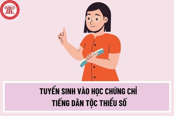 Đối tượng nào tuyển sinh vào học chứng chỉ tiếng dân tộc thiểu số? Học viên đào tạo, bồi dưỡng tiếng dân tộc dự thi cuối khóa phải đáp ứng các điều kiện nào?