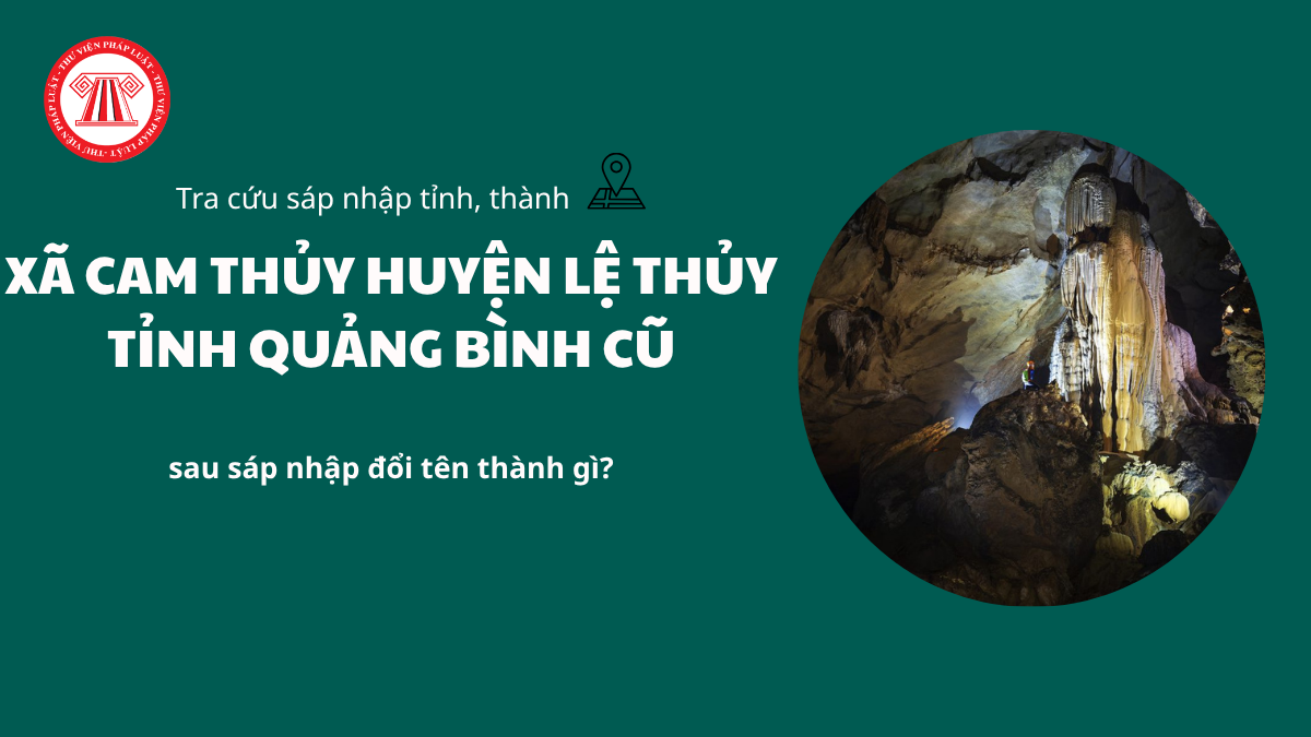 Pháp luật