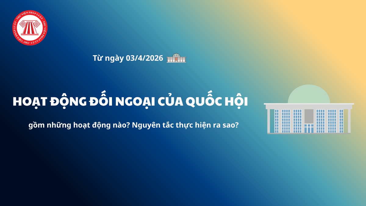 Pháp luật