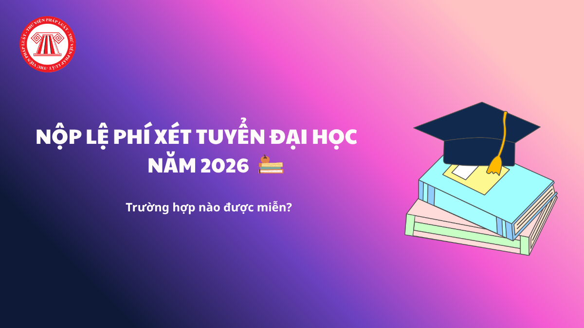 Pháp luật
