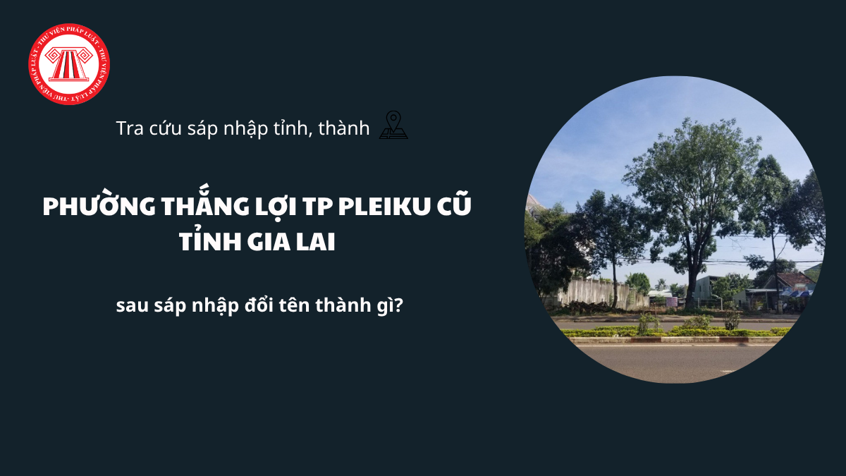 Pháp luật