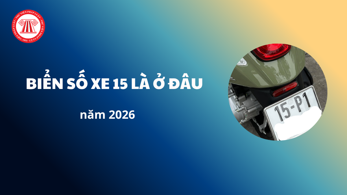 Pháp luật