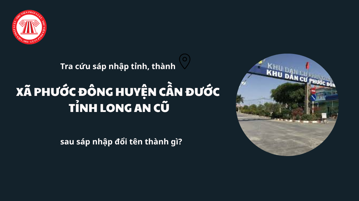 Pháp luật