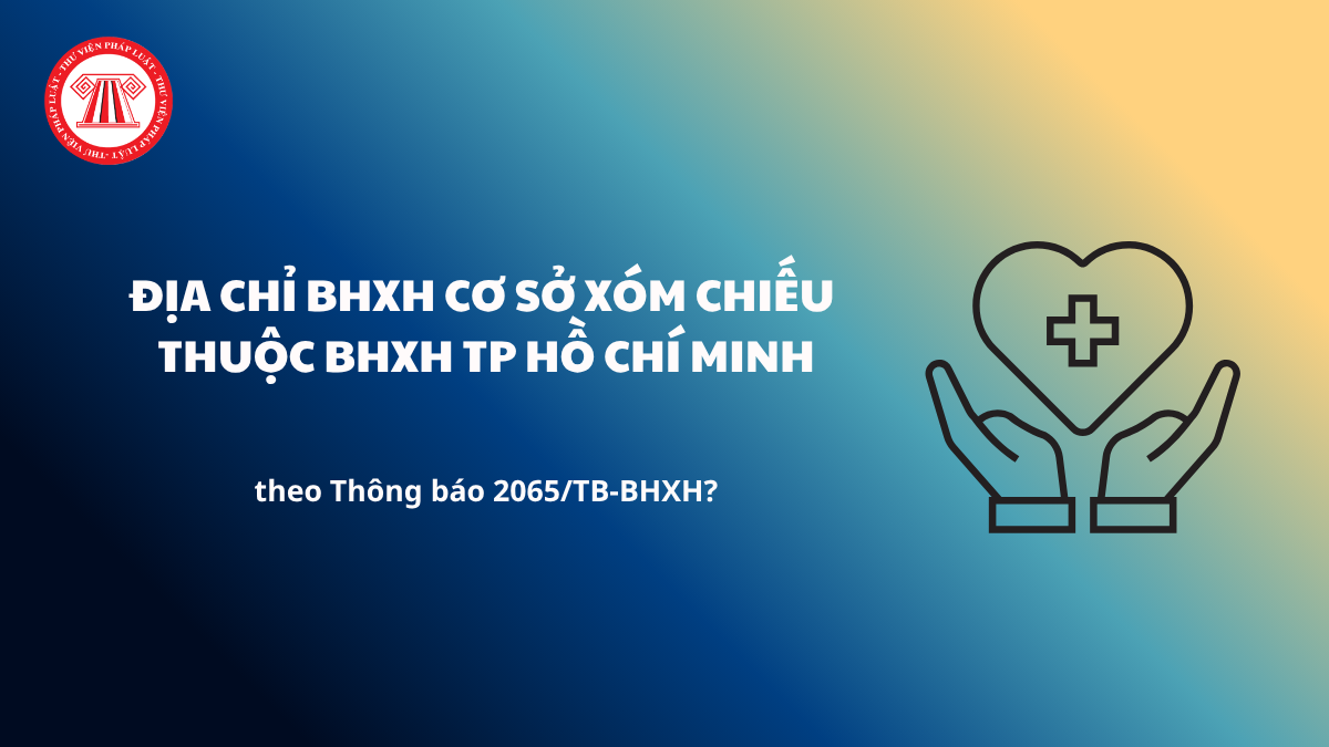 Pháp luật