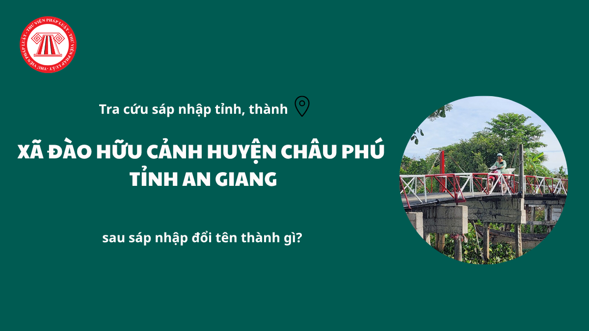 Pháp luật