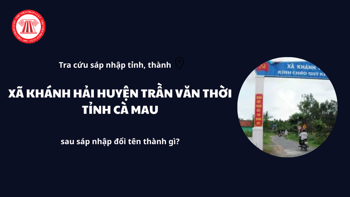 Pháp luật