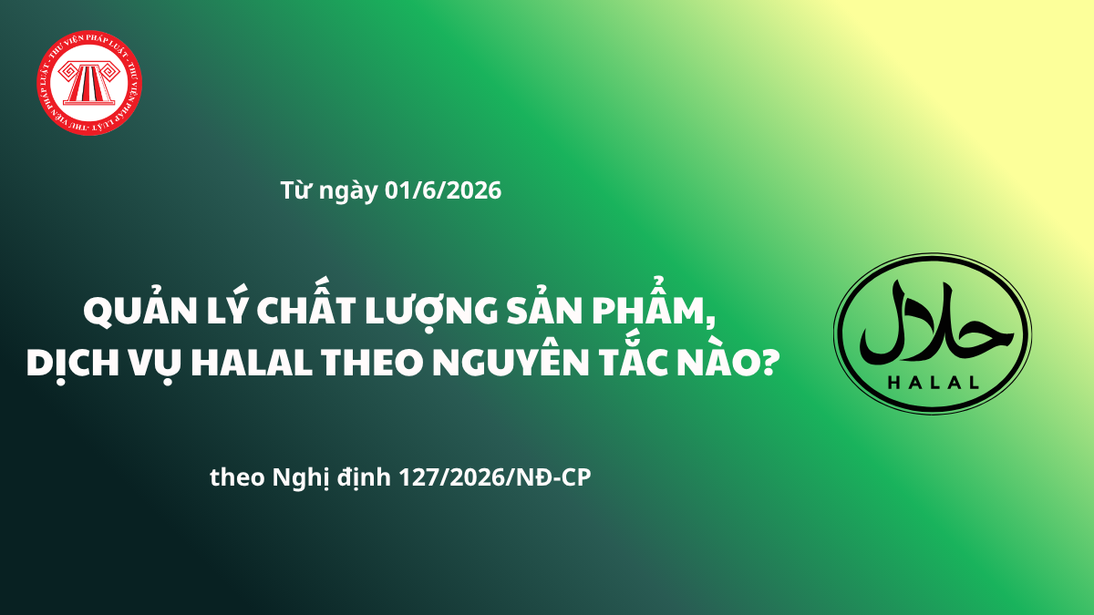 Pháp luật